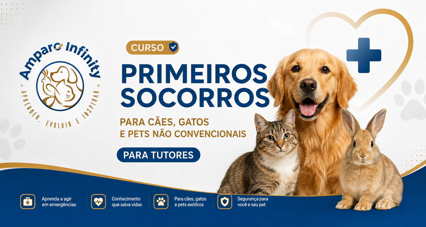 Curso de Primeiros Socorros para cães, gatos e pets não convencionais — Amparo Infinity